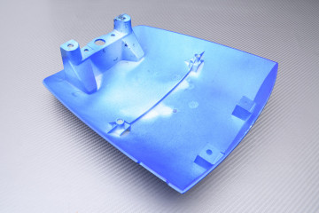 Tapa Colin KAWASAKI ZX9R 2002 - 2003