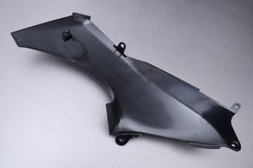 Covers / Tank Fairing Parts KAWASAKI ZX12R 2000 - 2001