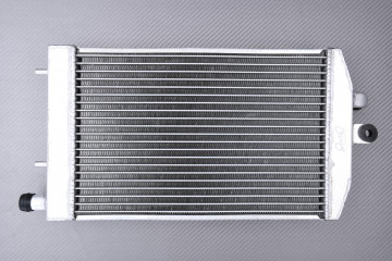 Radiateur AVDB KAWASAKI...