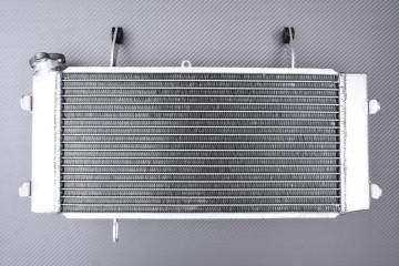 AVDB Radiator SUZUKI VSTROM...