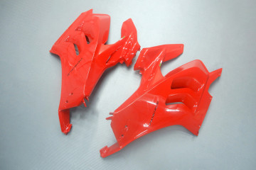 Carena completa DUCATI PANIGALE V4 / S / SP / R 2022 - 2024