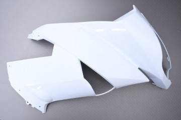 Verkleidung Kanzel KAWASAKI ER6F 2009 - 2011