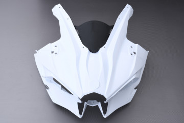 Front Nose Fairing KAWASAKI NINJA H2 2016 - 2021