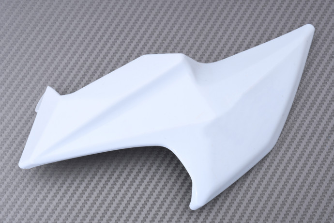 Front Nose Fairing KAWASAKI Z900 / SE 2020 - 2024