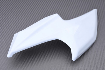 Carenado frontal KAWASAKI Z900 / SE 2020 - 2024