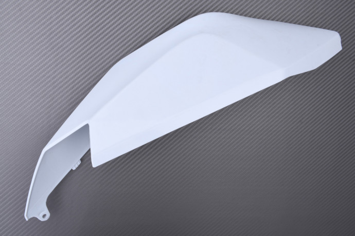 Rear fairing KAWASAKI ZX10R / ZX10RR 2021 - 2025