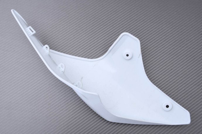 Codone DUCATI PANIGALE V2 / V4 2018 - 2024