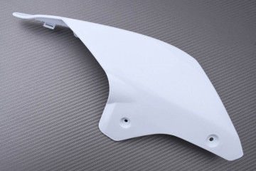 Rear fairing DUCATI PANIGALE V2 / V4 2018 - 2024