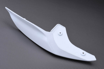 Rear fairing DUCATI PANIGALE V2 / V4 2018 - 2024