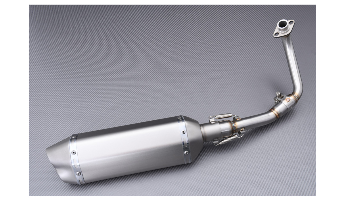 DOMINATOR Terminale Scarico Silenziatore ST In Acciaio Inox Per Kawasaki GTR 1400 (2007-2009)