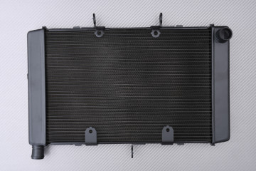 Radiateur HONDA CB1000R / CBF 1000F 2008 - 2017