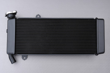 Radiator KAWASAKI VERSYS...