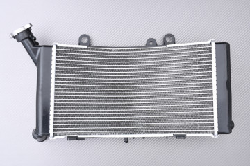 Radiateur BMW F750GS /...