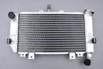 Radiateur KAWASAKI Z500 / ELIMINATOR / NINJA 500 2024 - X