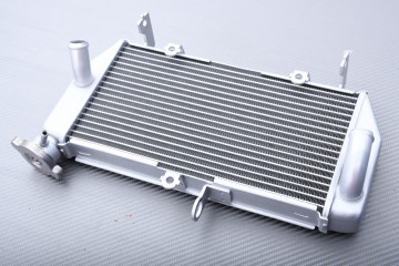 Radiator YAMAHA YZF R3 2025 - X
