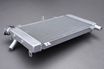 Radiateur KAWASAKI ZX4R / ZX4RR / ZX25R / SE 2021 - 2025