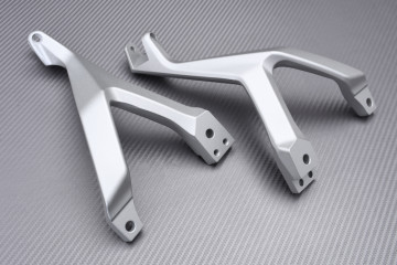 FUẞRASTENANLAGE HINTEN DUCATI STREETFIGHTER V2 2022 - 2024