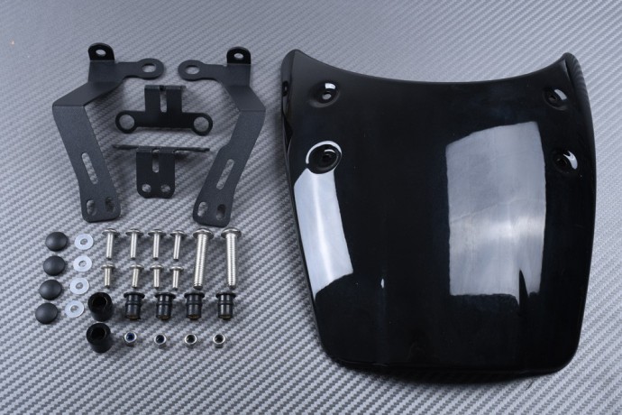 Cupolino / Parabrezza BMW R12 NINE T 2024 - 2025