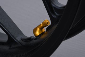 Cerchio Posteriore YAMAHA YZF R3 / MT03 320 2025 - X