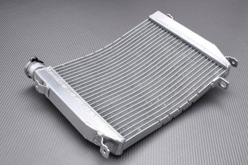 Radiatore APRILIA TUONO 660 / RS 660 / FACTORY 2020 - 2025