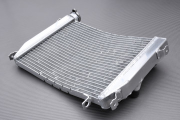 Radiatore APRILIA TUONO 660 / RS 660 / FACTORY 2020 - 2025