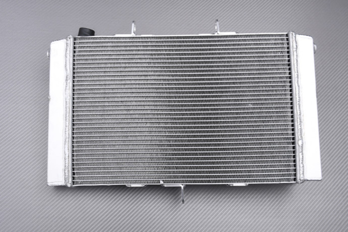 Radiator HONDA CB1000R 2021 - 2023