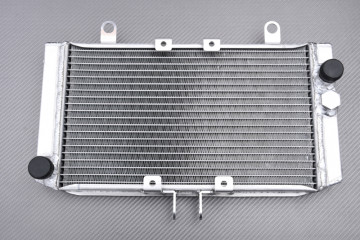 Radiador HONDA Big One CB 1000 1993 - 1999