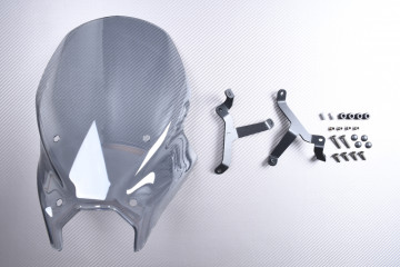 Cúpula en Policarbonato TOURING YAMAHA MT09 / SP 2024 - 2025