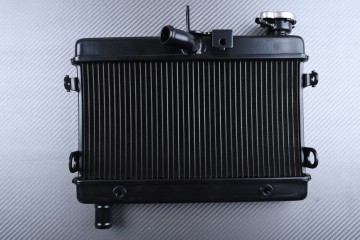 Radiator HONDA CL 500 2023 - 2025