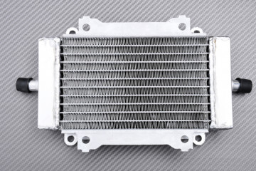 Radiator VESPA GTS / GTV / GT 125 / 200 / 250 / 300 2003 - 2024