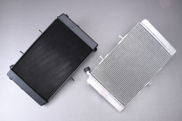 Radiator HONDA CB1000R 2021 - 2023