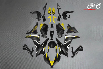 Carénage complet TRIUMPH DAYTONA 660 2024 - 2026