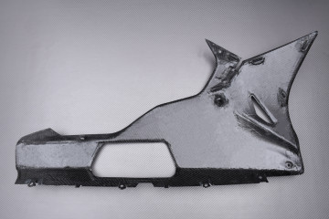 Sabot Gauche et Droit en carbone BMW S1000RR 2015 - 2016