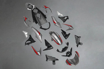 Carena completa TRIUMPH STREET TRIPLE 660 / 765 R / RS / S 2020 - 2022