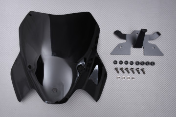 Cúpula en Policarbonato BMW S1000R / M1000R 2021 - 2024