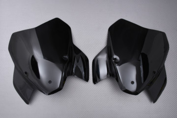 Cúpula en Policarbonato BMW S1000R / M1000R 2021 - 2024