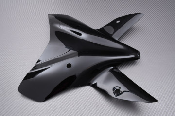 Cúpula en Policarbonato KTM DUKE 990 / R 2024 - 2026