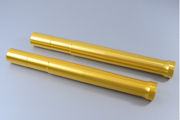 SPR Fork Legs BMW G310GS 2017 - 2025 OEM 31428388679