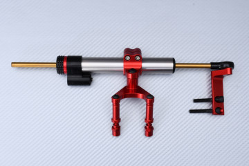 Steering damper DUCATI HM HYPERMOTARD 950 / SP / RVE 2019 - 2025