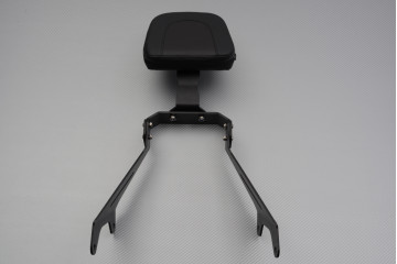 Passenger Seat Backrest /...