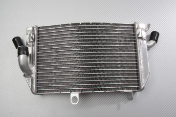 Radiators HONDA RUNE NRX 1800 2004 - 2005