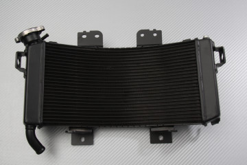 Radiateur KTM ADVENTURE 390 / 250 2020 - 2024