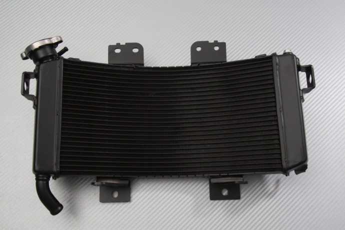 Radiatore KTM ADVENTURE 390 / 250 2020 - 2024