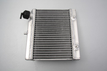 Radiatore acqua racing...