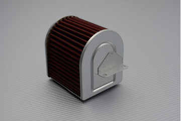 Filtro aria Performance...