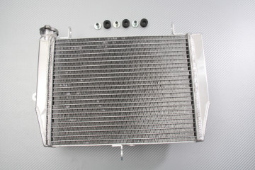 Kühler YAMAHA YZF R6 1999 - 2002
