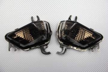 Coppia frecce anteriori Kawasaki Z1000 SX 2011 - 2016