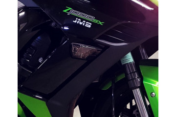 Coppia frecce anteriori Kawasaki Z1000 SX 2011 - 2016