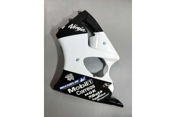 Komplette Motorradverkleidung KAWASAKI ZX6R / 636 2000 - 2002