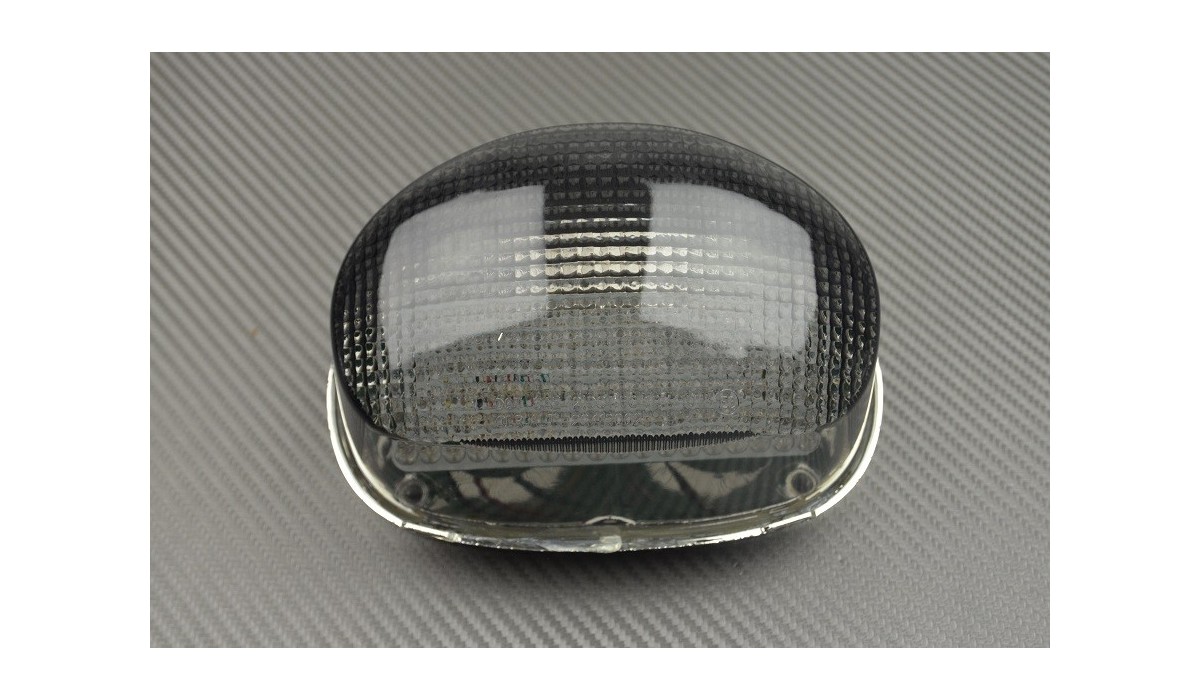 LED Taillight with Integrated turn signals TRIUMPH TT600 / Speed Four / Speed Triple 955